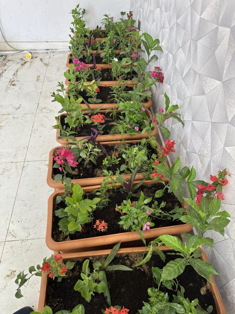 IMG_20251026_214604_865